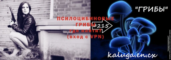 гидра Алексин