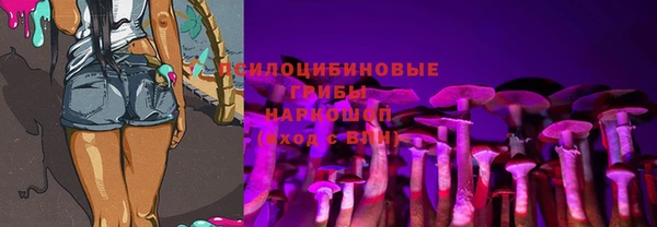 гидра Алексин