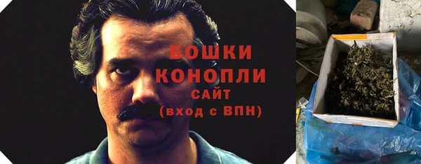 гидра Алексин
