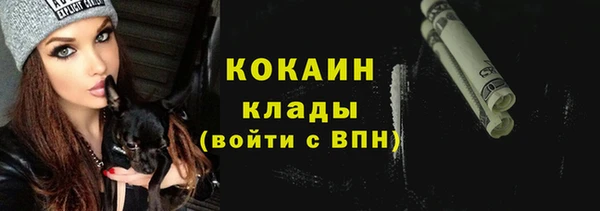 гидра Алексин
