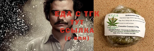гидра Алексин