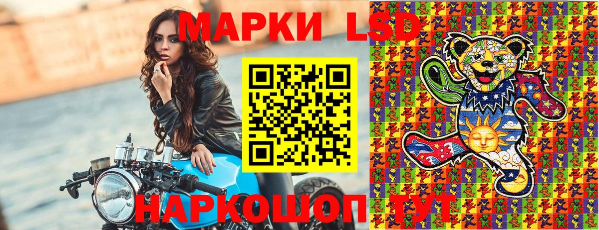 Наркотические марки 1,5мг  Наркотические марки 1,5мг  Павлово  Марки 25I-NBOMe  Вход с VPN 