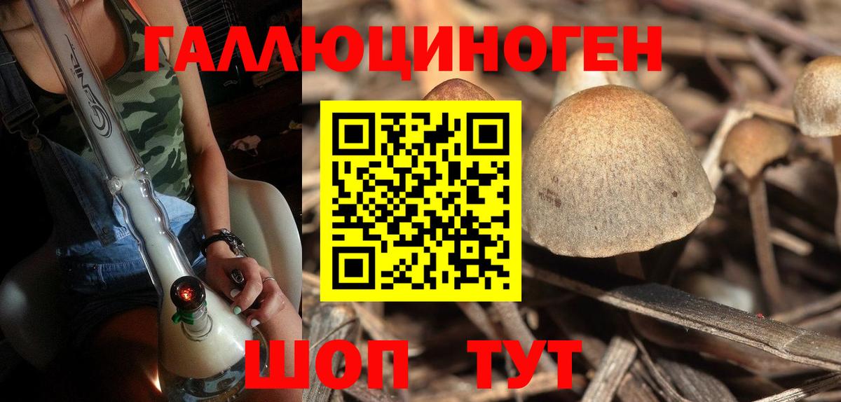 Павлово  Псилоцибиновые грибы мухоморы  Вход с VPN 